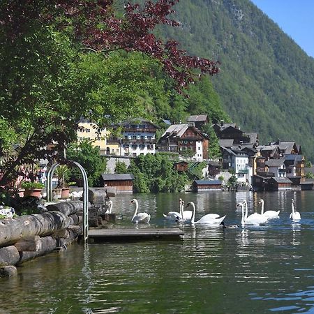 Gasthof Simony Hallstatt B&B Exteriér fotografie